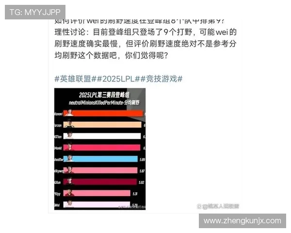 TES战队比赛经验深度分析与英雄联盟战术探讨